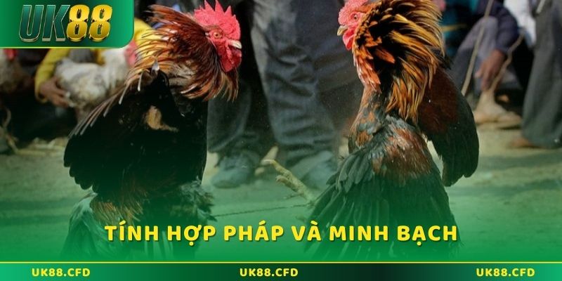 Tính hợp pháp và minh bạch trong hoạt động cá cược