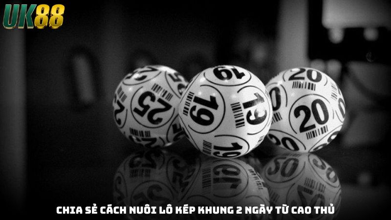 Chia sẻ cách nuôi lô kép khung 2 ngày từ cao thủ