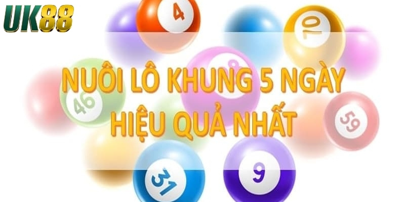 Cách nuôi lô khung 5 ngày hiệu quả